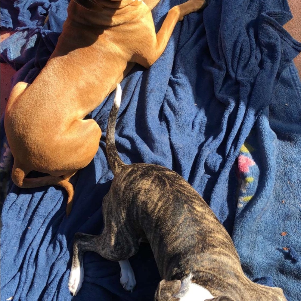 Meet your Posher, Mitchell